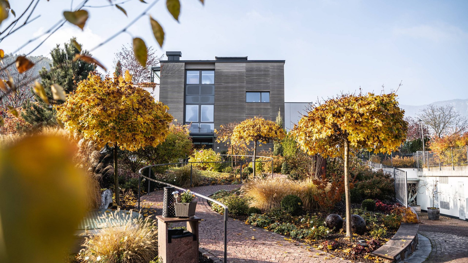Casa moderna con facciata in legno e giardino autunnale con sentiero lastricato